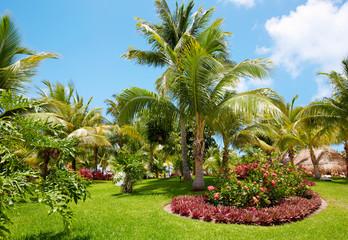 Maintaining Tropical Landscapes in South Florida