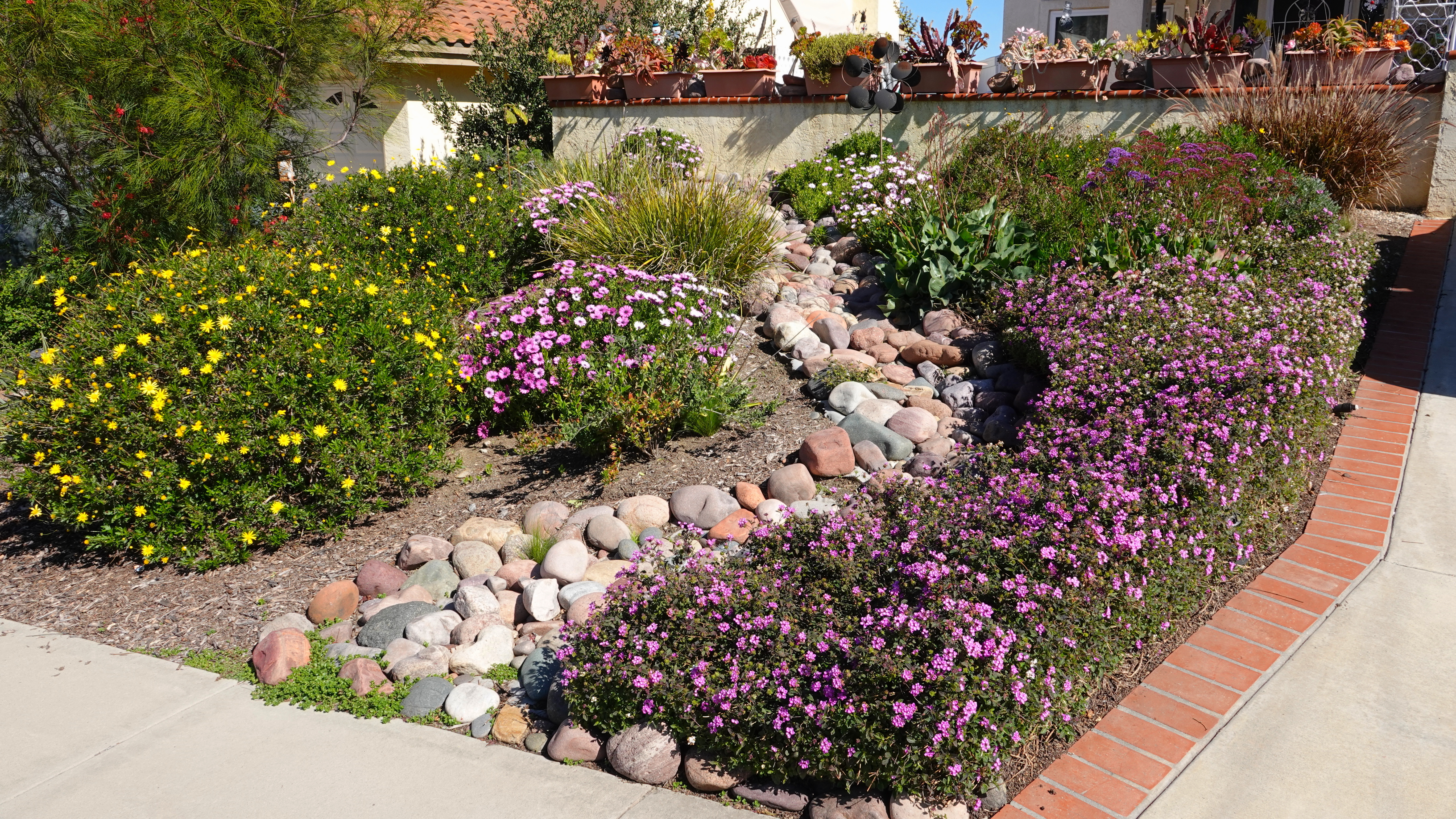 Why You Should Consider Installing Native Plants