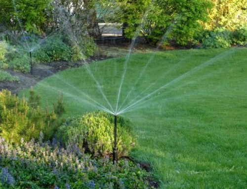 Why You Should Maintain Your Irrigation System Year-Round