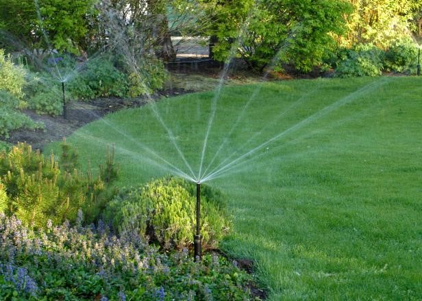 Great Ideas to Incorporate into Your Watering Plan