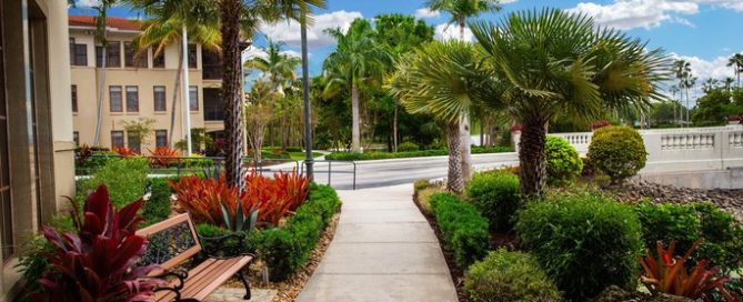 Great South Florida Landscaping Ideas You Will Love