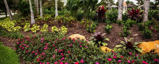 The Ideal Florida Landscape Should Include Some Low-Maintenance Plants