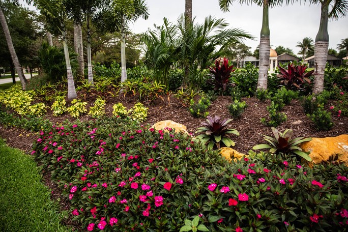 Low Maintenance Plants, Florida Garden Landscape Ideas