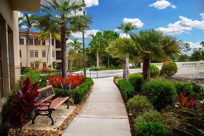 Great South Florida Landscaping Ideas You Will Love