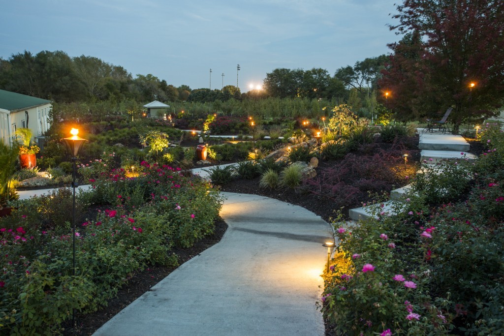 Place Lighting to Highlight Your Flowers, Shrubs, and Groundcovers