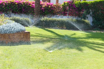 7 Major Irrigation Issues for Florida Properties