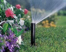 How to Water Your Lawn   