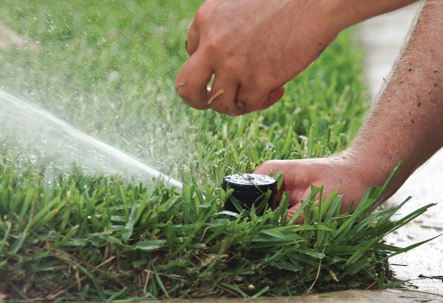 Professional Irrigation Services Keep Delray Beach Lawns and Gardens Thriving