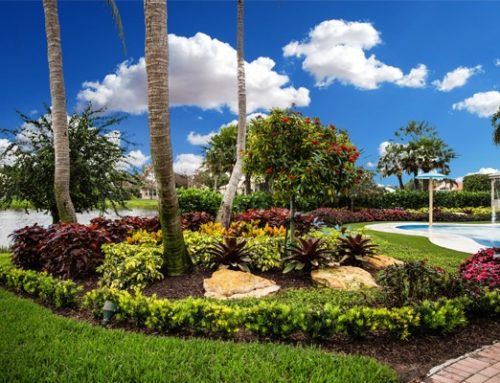 5 Reasons Why Regular Maintenance Is the Key to a Successful Landscape