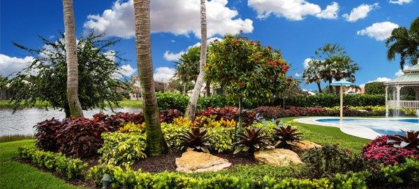  5 Reasons Why Regular Maintenance Is the Key to a Successful Landscape