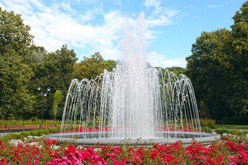 Water features such as ponds, waterfalls, or short streams serve as natural attractions to any landscape installation. 